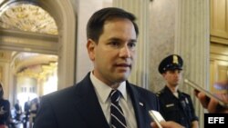 Marco Rubio, senador republicano de Florida.